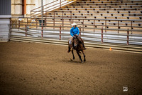 WORKING WESTERN RAIL