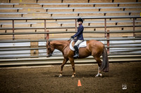 EQUITATION