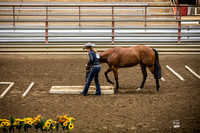 TRAIL - YEARLING IN HAND