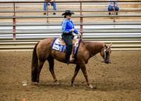 HORSEMANSHIP